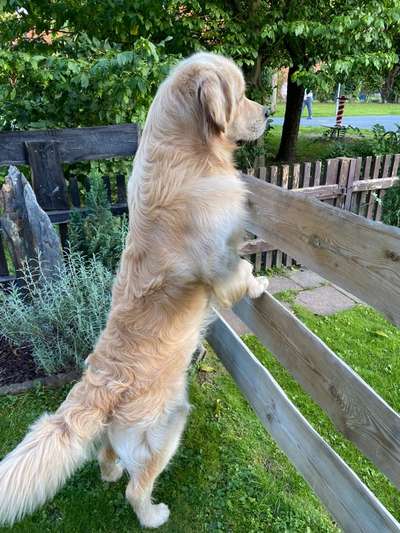 Lieblingsbild-Beitrag-Bild