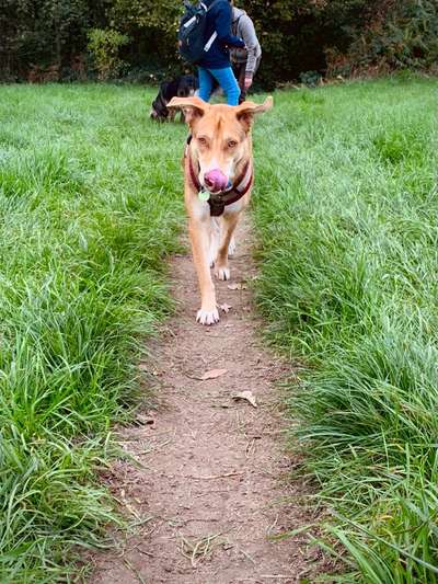 Fotochallenge No. 26                                     Wald und Wiese-Beitrag-Bild