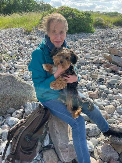 Flat Coated Retriever-Beitrag-Bild