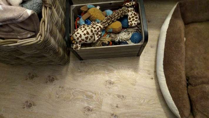 Ich hätte da mal eine Frage.....-Beitrag-Bild