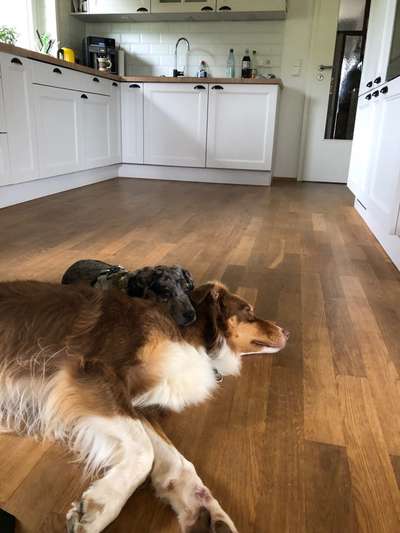 Fotochallenge liebespaare-Beitrag-Bild