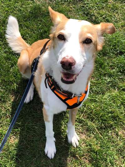 Fotochallange Nr. 57     PORTRÄT.   Beendet!!!!!!!!-Beitrag-Bild