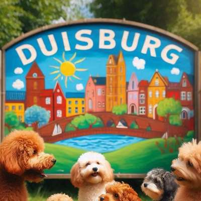 Hundetreffen-Pudeltreffen Duisburg-Bild
