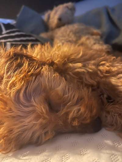 Frisch eingezogen - wie sind eure Erfahrungen?-Beitrag-Bild