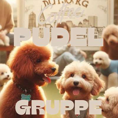 Hundetreffen-Duisburger Pudelgruppe / auch Doodle / Cockerpoo etc-Bild
