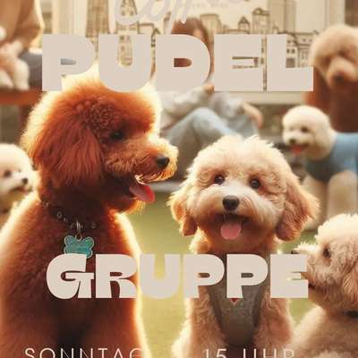 Hundetreffen-Pudeltreffen Duisburg-Bild