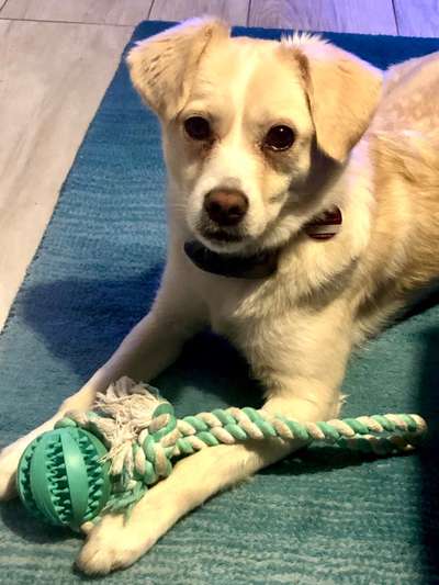 Fotochallange Nr. 57     PORTRÄT.   Beendet!!!!!!!!-Beitrag-Bild