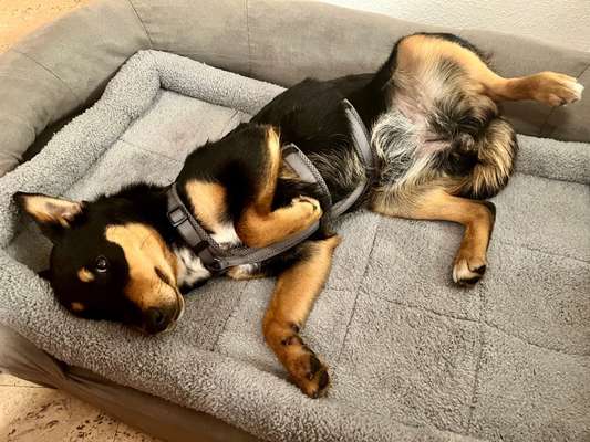 Erstes Bild-Beitrag-Bild