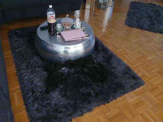 Dogorama Photo Challenge - Tarnung ist alles-Beitrag-Bild