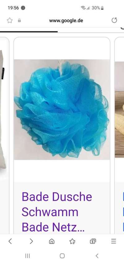 Langhaarigen Hund shampoonieren-Beitrag-Bild