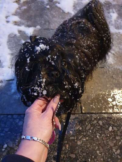 Der erste Schnee, zeigt uns eure tollen Schneemomente-Beitrag-Bild