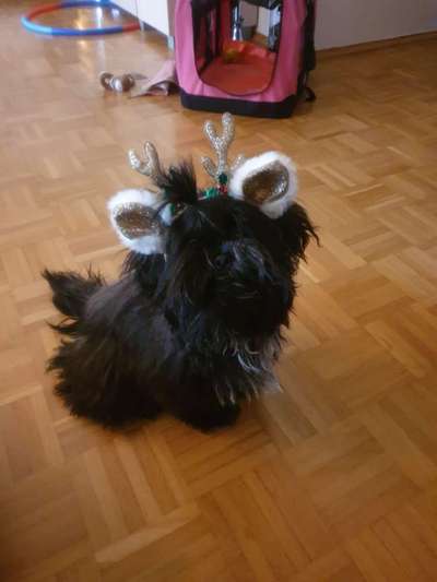 Fotochallenge Nr. 67: Euer Lieblingsbild-Beitrag-Bild