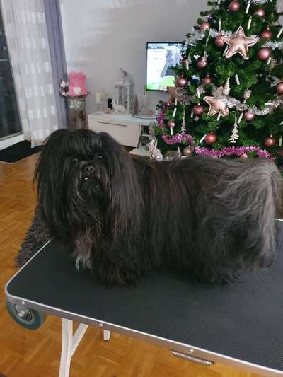 28. Handy-Fotochallenge - Damals und heute-Beitrag-Bild