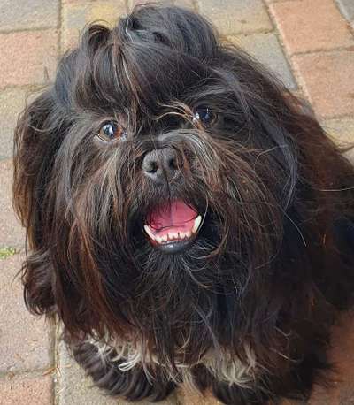 Doppelgänger gesucht !-Beitrag-Bild