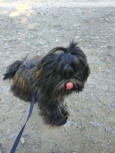 Lieblingsbild-Beitrag-Bild