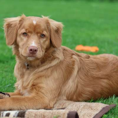 Claudia's Profilbild