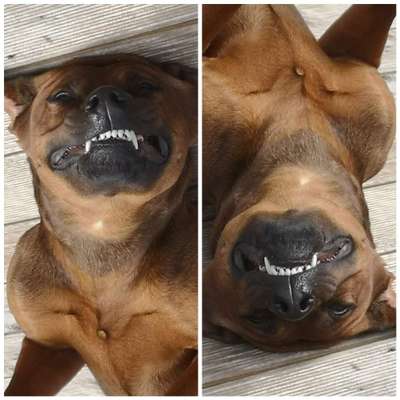 Lustige Grimassen & verrückte Posen-Beitrag-Bild