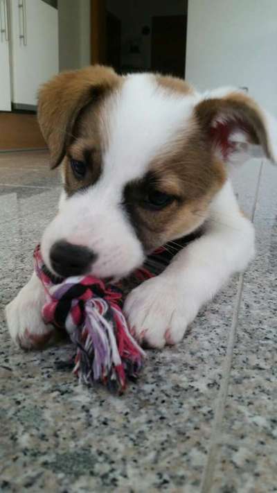 Sie werden so schnell erwachsen ...-Beitrag-Bild