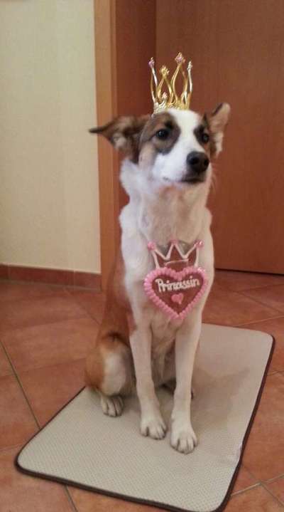 Fotochallenge Nr. 29 - Accessoires-Beitrag-Bild