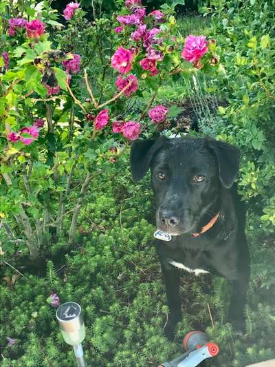 Handy-Foto Challange Nr. 10-Beitrag-Bild