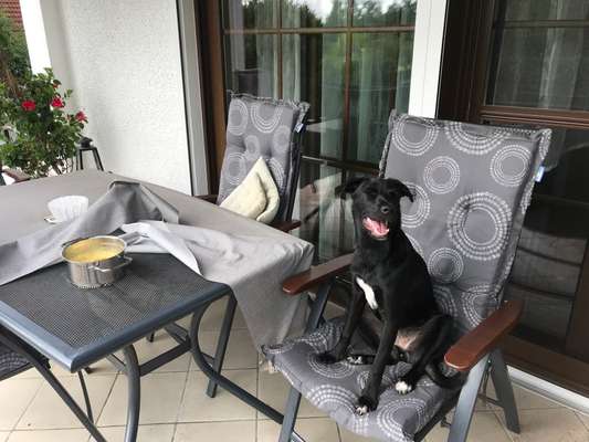 Doppelgänger gesucht !-Beitrag-Bild