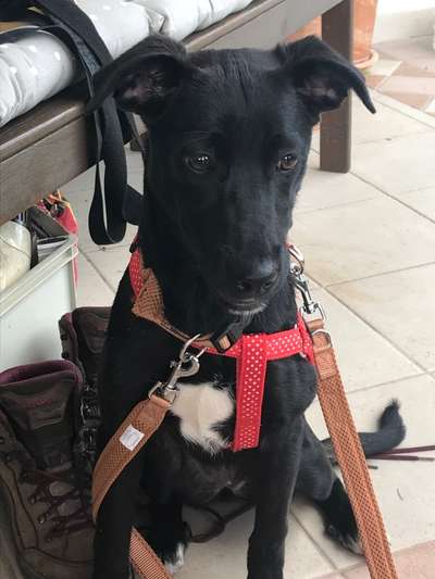 Doppelgänger gesucht !-Beitrag-Bild