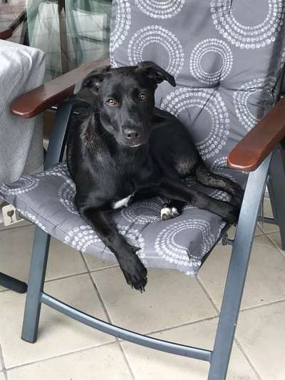 Doppelgänger gesucht !-Beitrag-Bild