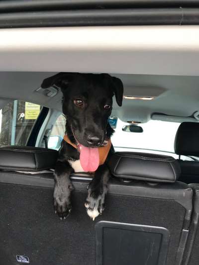 Handyfoto challenge Nr. 13: Waschlappen raus!-Beitrag-Bild