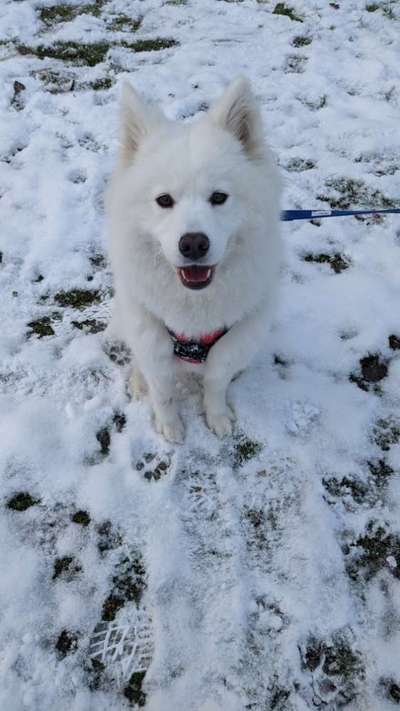 Der erste Schnee, zeigt uns eure tollen Schneemomente-Beitrag-Bild