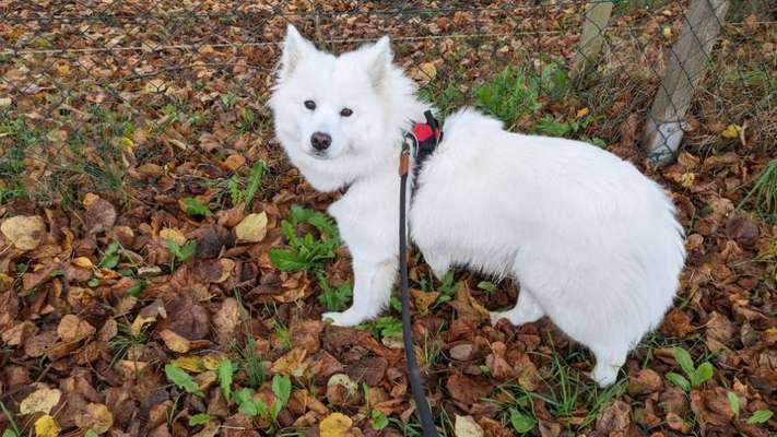 Leute aus Oberbayern?-Beitrag-Bild