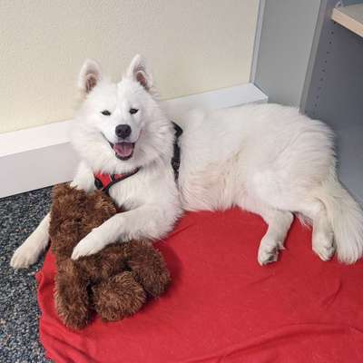 Angelika's Profilbild