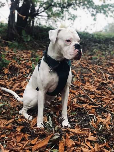 Lieblingsbild-Beitrag-Bild