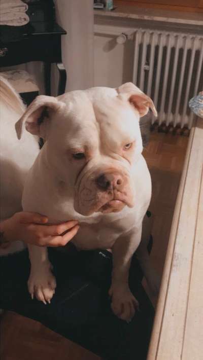 Lieblingsbild-Beitrag-Bild