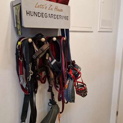 Zeigt her eure Gassi-Stationen =)-Beitrag-Bild