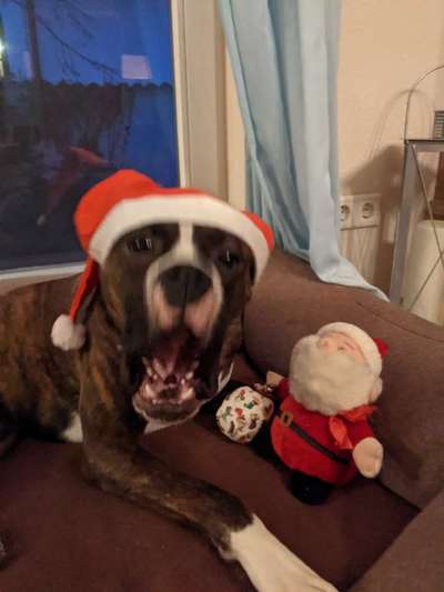 Un...scharf Bilder-Beitrag-Bild