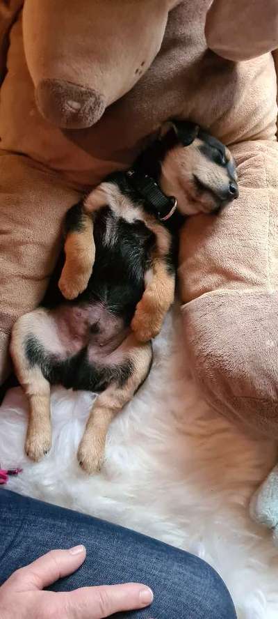 Blick fürs Detail!-Beitrag-Bild