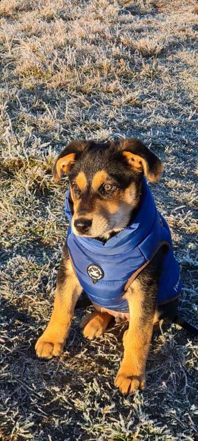 Fotochallenge Nr. 67: Euer Lieblingsbild-Beitrag-Bild