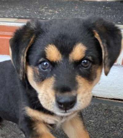 Fotochallange Nr. 57     PORTRÄT.   Beendet!!!!!!!!-Beitrag-Bild