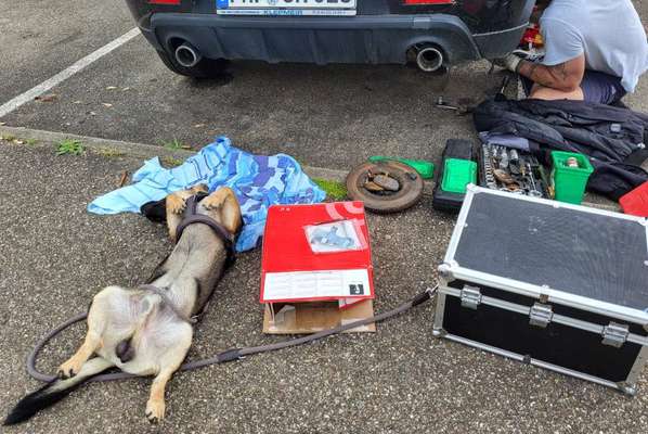 FOTO-Challenge  NR. 91: Die pure Entspannung-Beitrag-Bild