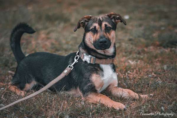 23. Collagen-Challenge: Portraits-Beitrag-Bild