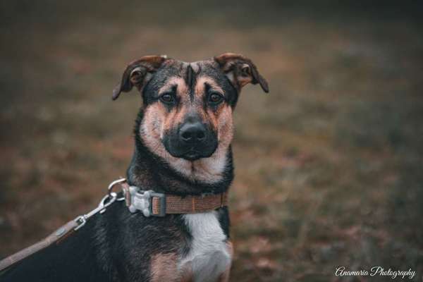 Doppelgänger gesucht !-Beitrag-Bild