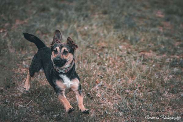 Foto-Challenge Nr. 90: Lebensfreude-Beitrag-Bild