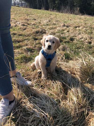 Sie werden so schnell erwachsen ...-Beitrag-Bild