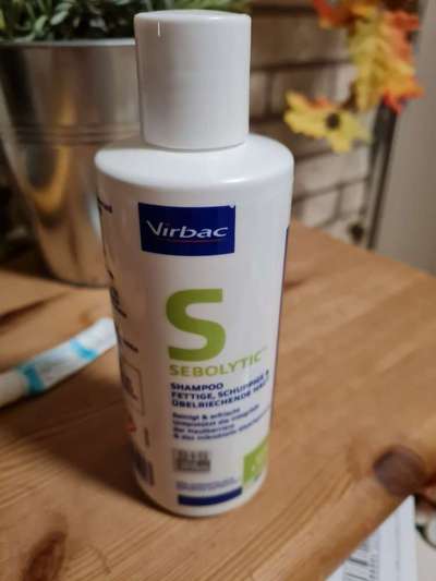 juckreiz beim Hund-Beitrag-Bild