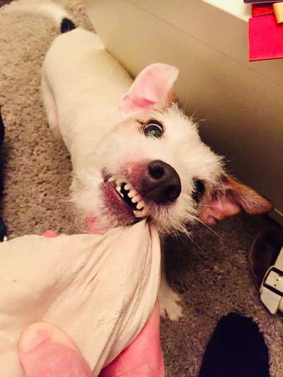 "Die eingefangene Magie des Augenblicks"-Beitrag-Bild