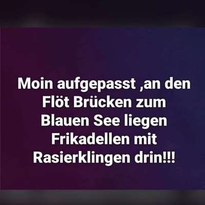 Giftköder-Frikadellen mit Rasierklingen!-Bild