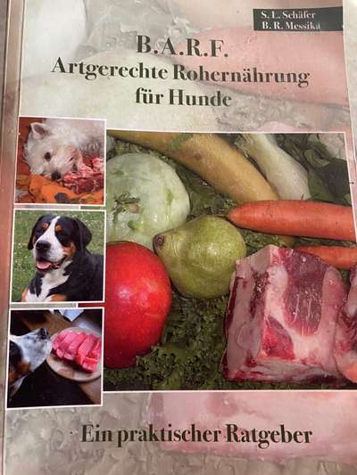 Barfen, wie wichtig ist Pansen?-Beitrag-Bild