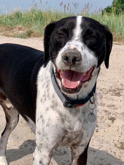 Lieblingsbild-Beitrag-Bild