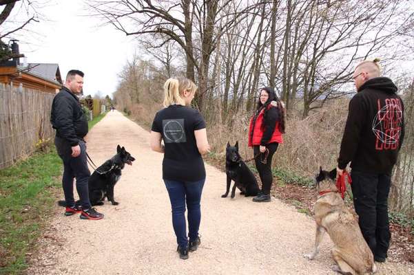 Giftköder-Social walk-Bild