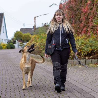 Hundeschulen-Dogford Academy - Hundetraining-Bild